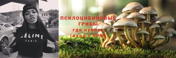 спиды Алзамай