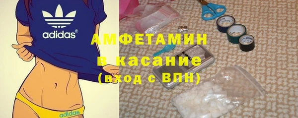 гидра Алексин
