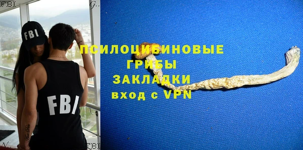 спиды Алзамай