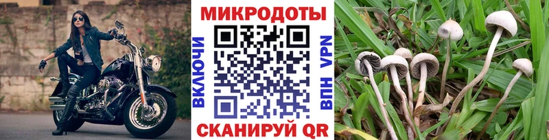 цена наркотик Заинск Галлюциногенные грибы Cubensis