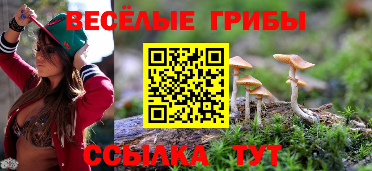 Заинск  Галлюциногенные грибы Cubensis  Вход с VPN 